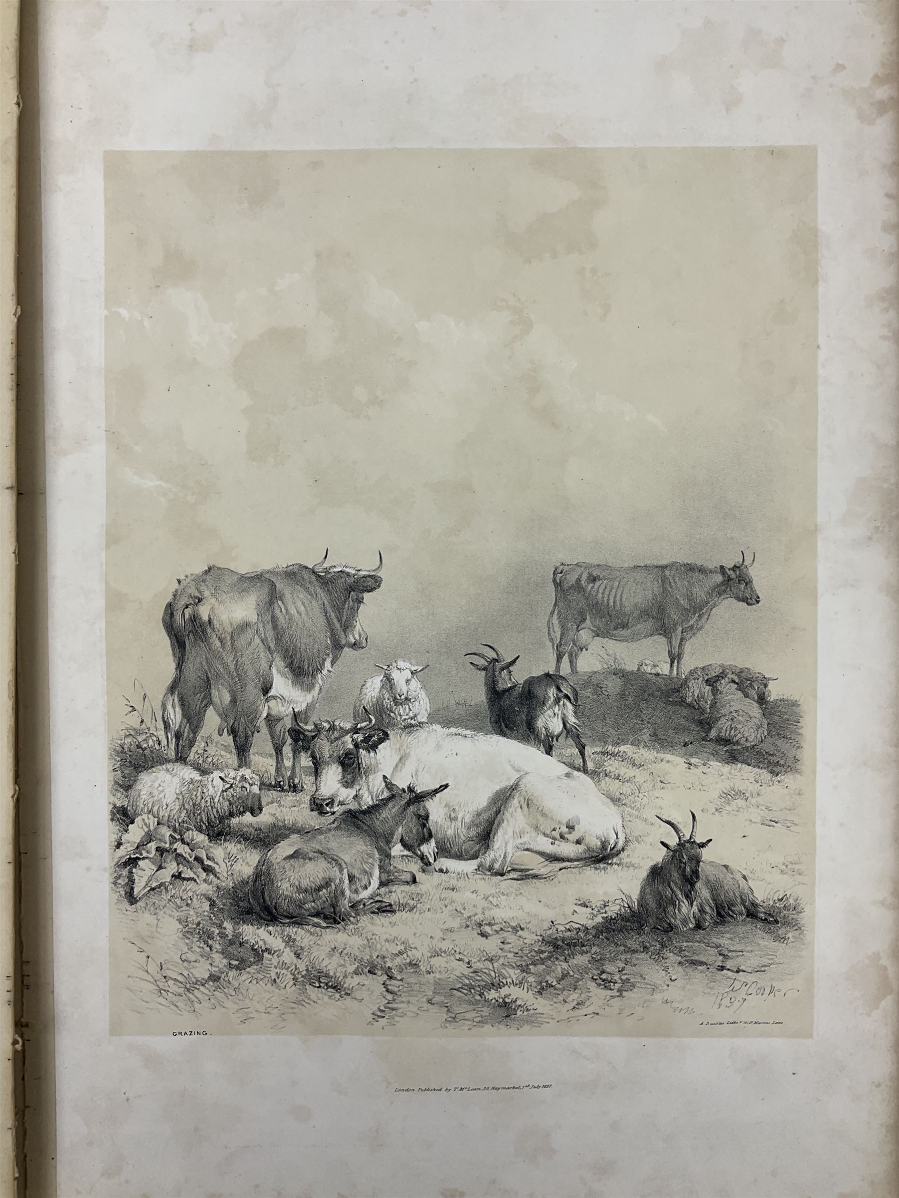 Thomas Sidney Cooper (British 1803-1902): 'Cooper's Designs for Cattle Pictures - Image 12 of 13