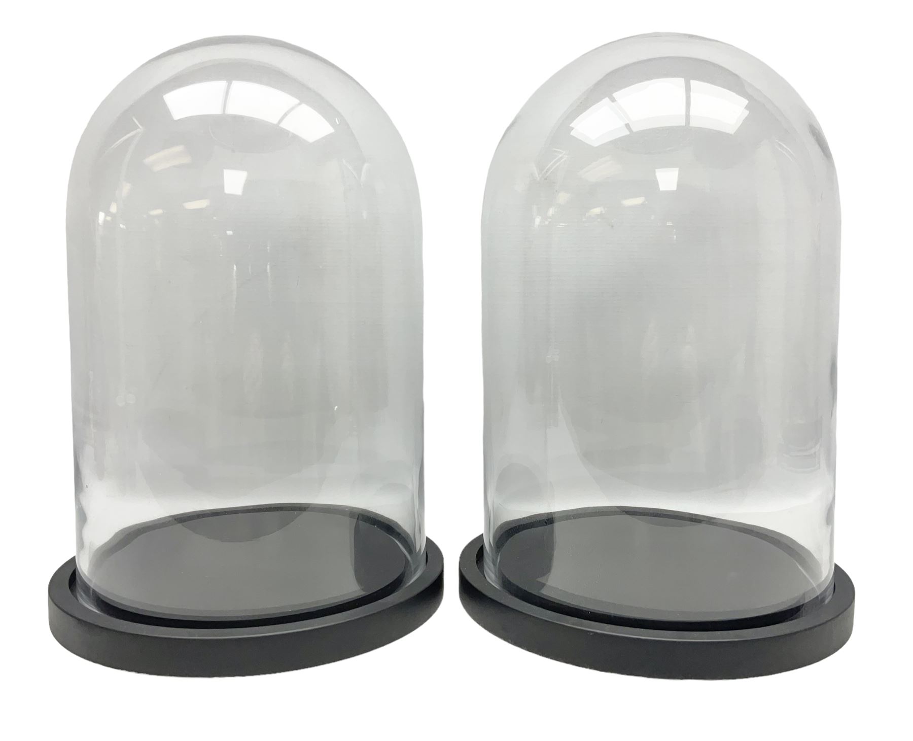 Pair of glass domes upon circular bases
