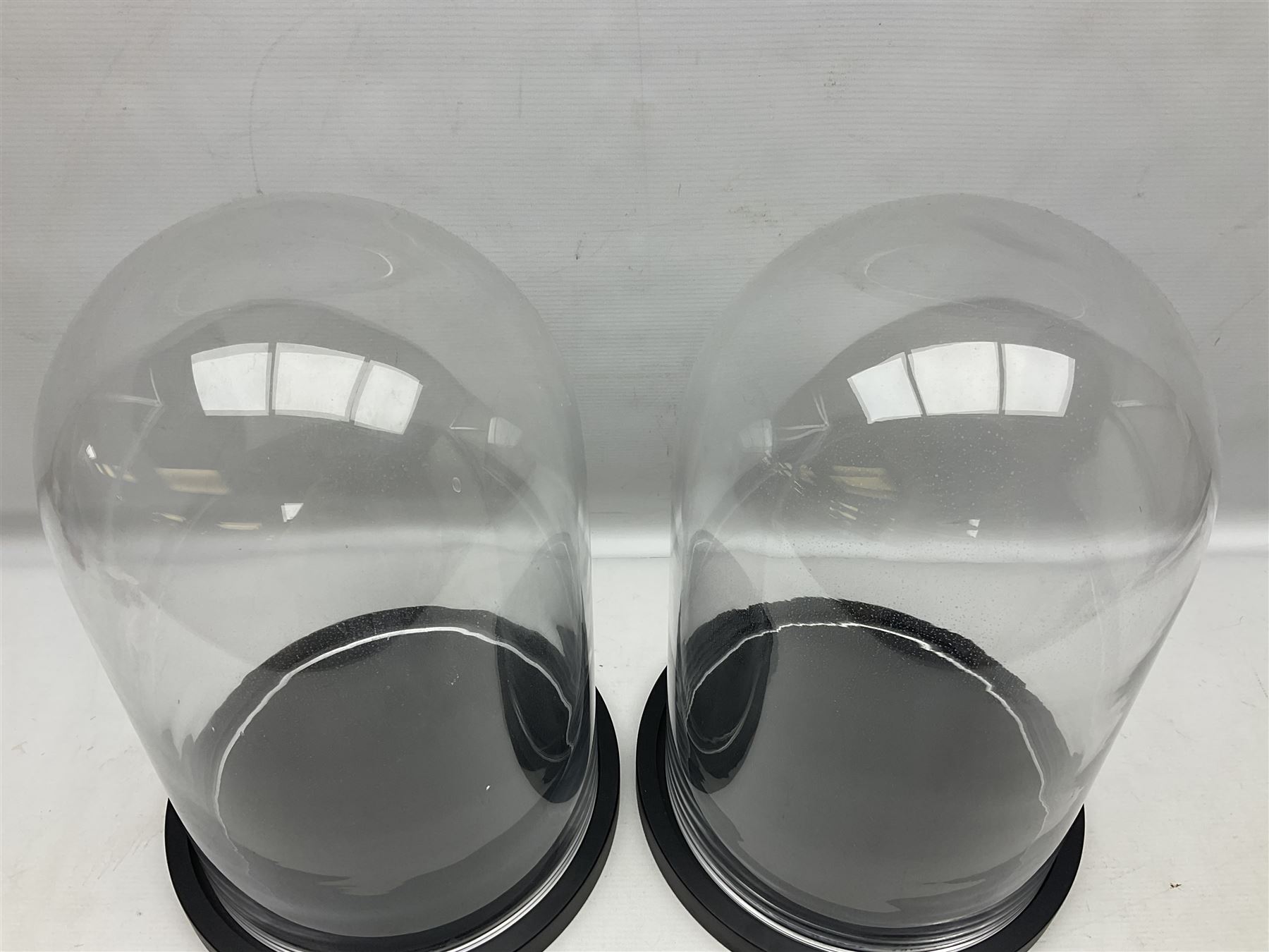 Pair of glass domes upon circular bases - Image 2 of 7