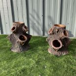 Pair of terracotta tree planters