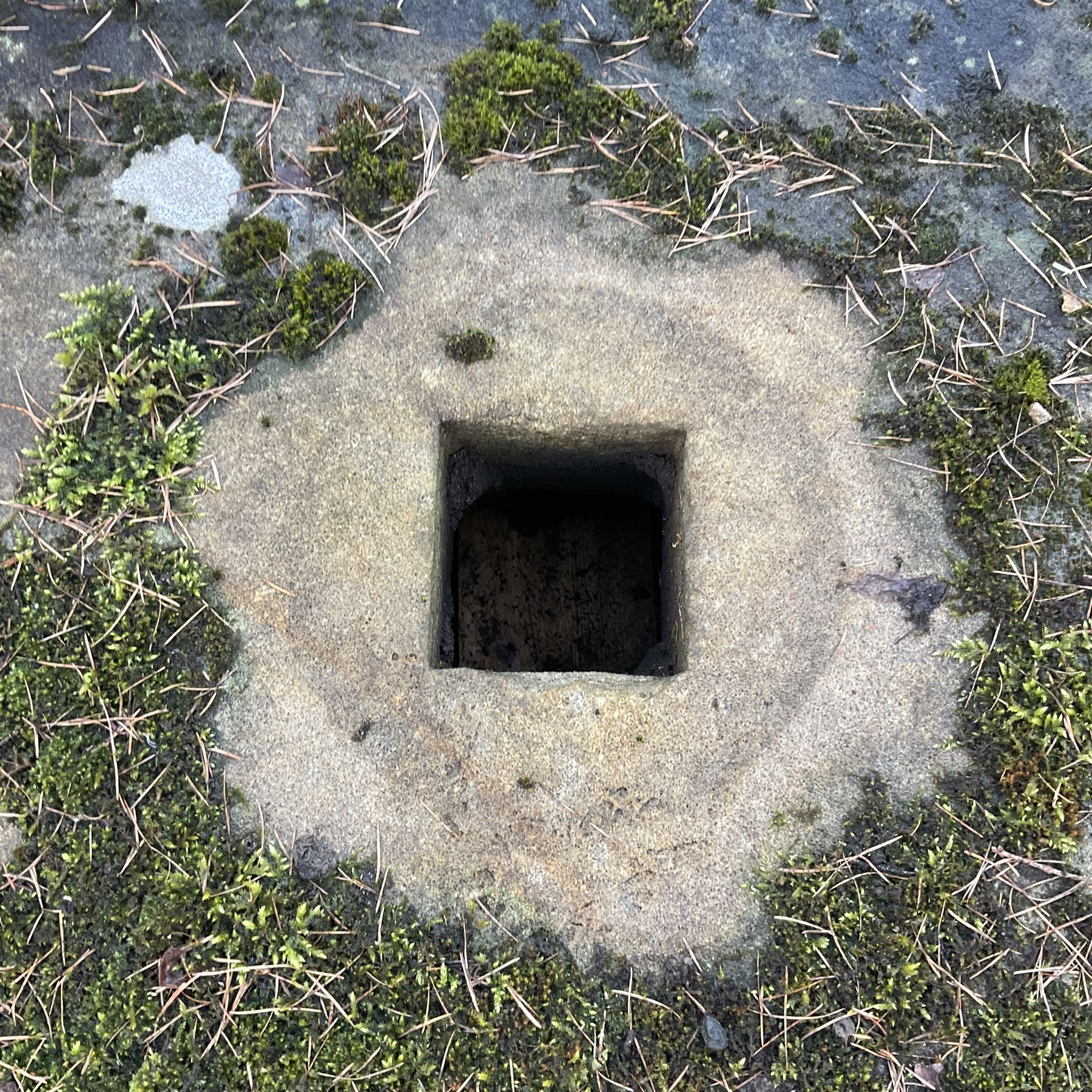 19th century circular grinding stone - Image 2 of 3