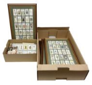 Quantity of cigarette and trade cards in albums