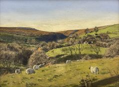 Peter Webber (Yorkshire Contemporary): Sheep Grazing on the 'Yorkshire Wolds'