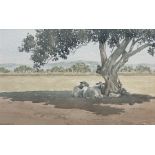 Jan Hunter (British Contemporary): 'Siesta' - Sheep in the Shade