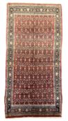 North West Persian Bidjar carpet