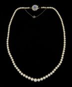 Early 20th century single strand graduating pearl necklace