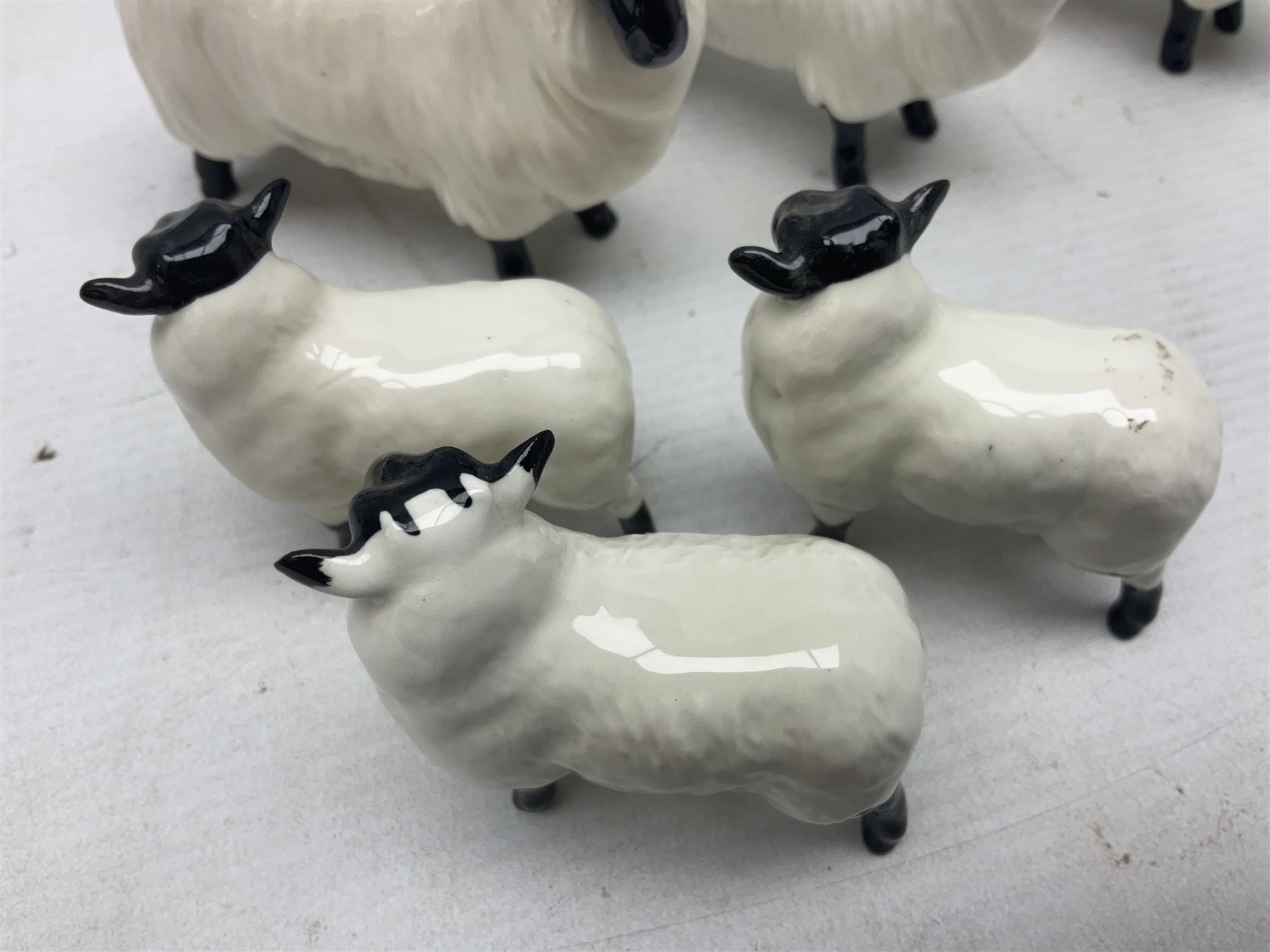 Seven Beswick figures of sheep comprising three ewes and four lambs - Image 5 of 10