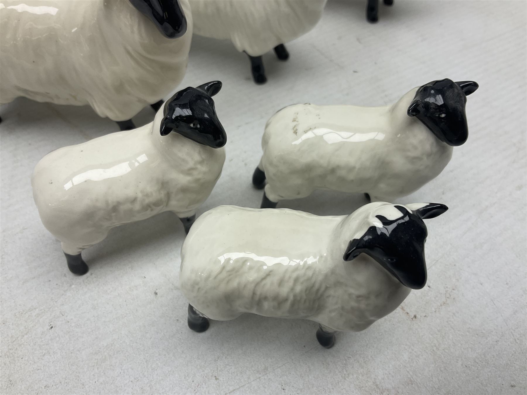 Seven Beswick figures of sheep comprising three ewes and four lambs - Image 4 of 10