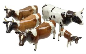 Five Beswick figures of cattle Comprising Ayrshire Bull Ch Whitehill Mandate