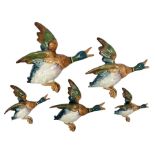 Set of five Beswick graduated wall mounting figures of flying ducks