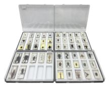 Entomology: collection of fifty two insect specimens