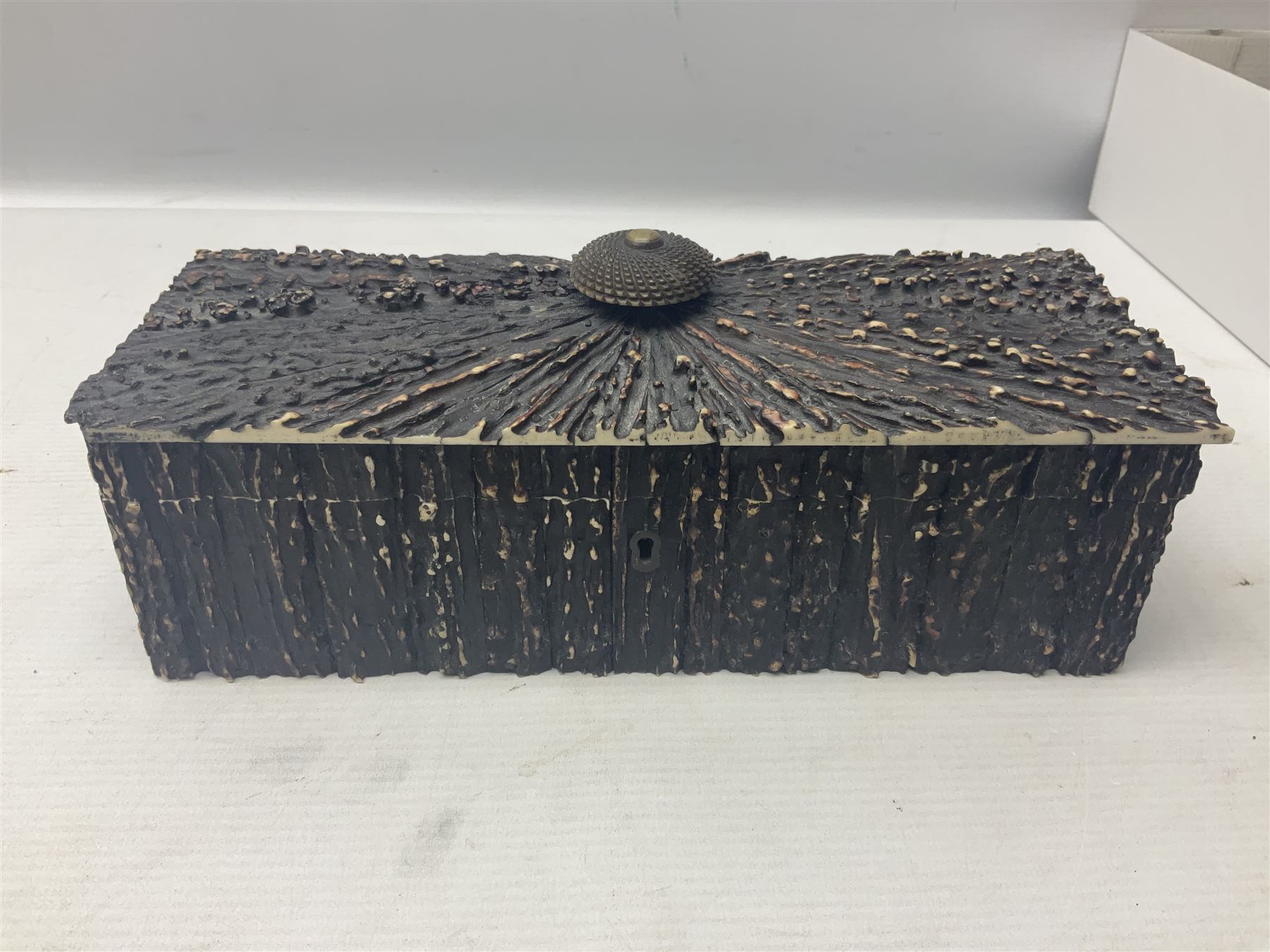 19th century elk horn and cedar wood box - Image 2 of 9