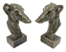 Pair of bronzed cast iron greyhound busts on plinths