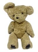 1950s sheepskin plush covered teddy bear with musical movement