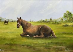 Adrian Thompson (British 1960-): 'Resting' - Horse in a Field