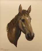 Adrian Thompson (British 1960-): My Beloved 'Candy' - Portrait of a Horse