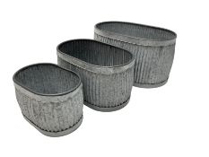 Set three graduating oval planter tubs