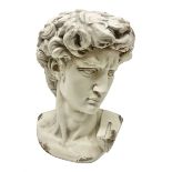Large bust of Michelangelo's David in stone effect finish