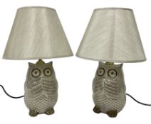 Pair of table lamps of in the form of owls