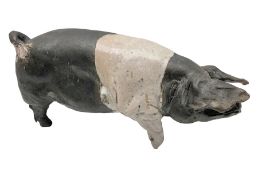 Studio pottery Saddleback pig