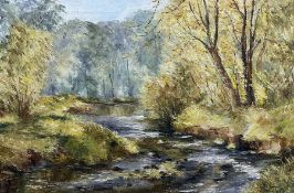 Sheila G Johnson (nee Spence) (British 20th century): 'Spring on Broad Beck' Thirsk