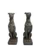 Pair composite seated greyhound garden figures