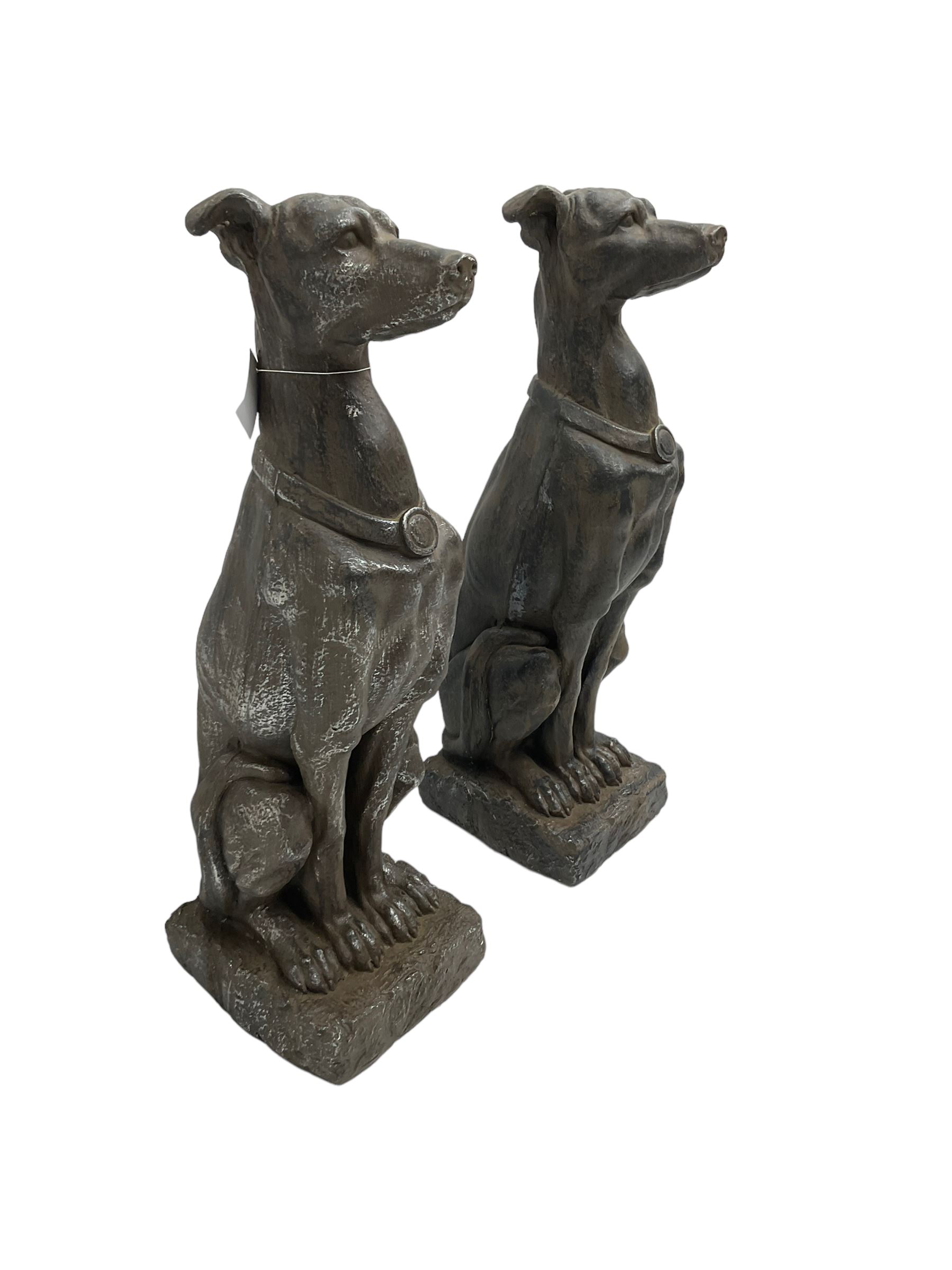 Pair composite seated greyhound garden figures - Image 4 of 5