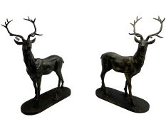 Pair bronzed cast iron life-size garden or indoor stags with raised heads