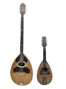 Italian bouzouki type long necked mandolin with segmented lute back and spruce top with tortoiseshel
