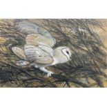 Charles Frederick Tunnicliffe (British 1901-1979): Barn Owl