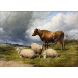Thomas Sidney Cooper (British 1803-1902): Cow and Sheep under a Brooding Sky