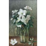 Kate Sadler (British fl.1880-1894): 'Xmas Roses'