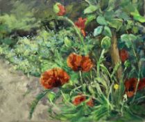 Catherine Tyler (British 1949-): 'Garden Poppies'