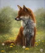 Carl Whitfield (British 1958-): 'Fox in Meadow'