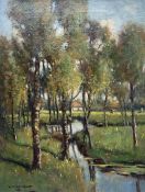 Dutch School (Early 20th century): Silver Birches