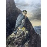 Cyril David Johnston (British 1946-): Peregrine Falcon