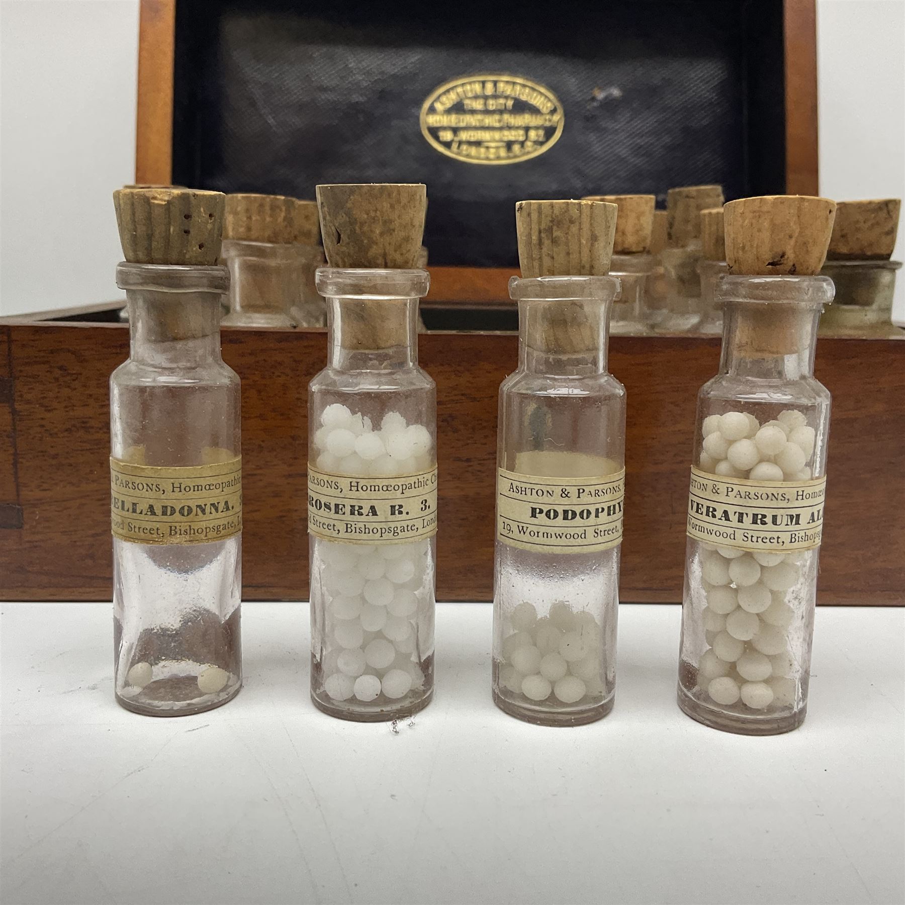 Ashton & Parsons Homeopathic pharmacy box - Image 6 of 12