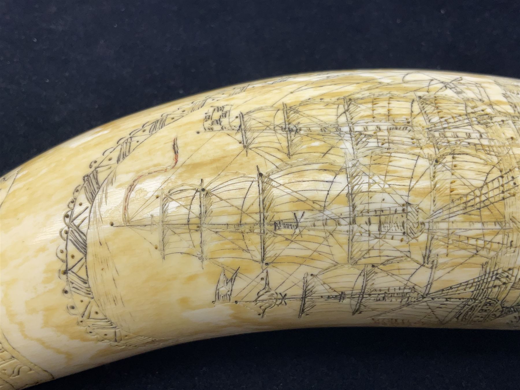 19th century scrimshaw sperm whale tooth from the whaler 'Dove' initialled J.A - Image 6 of 14