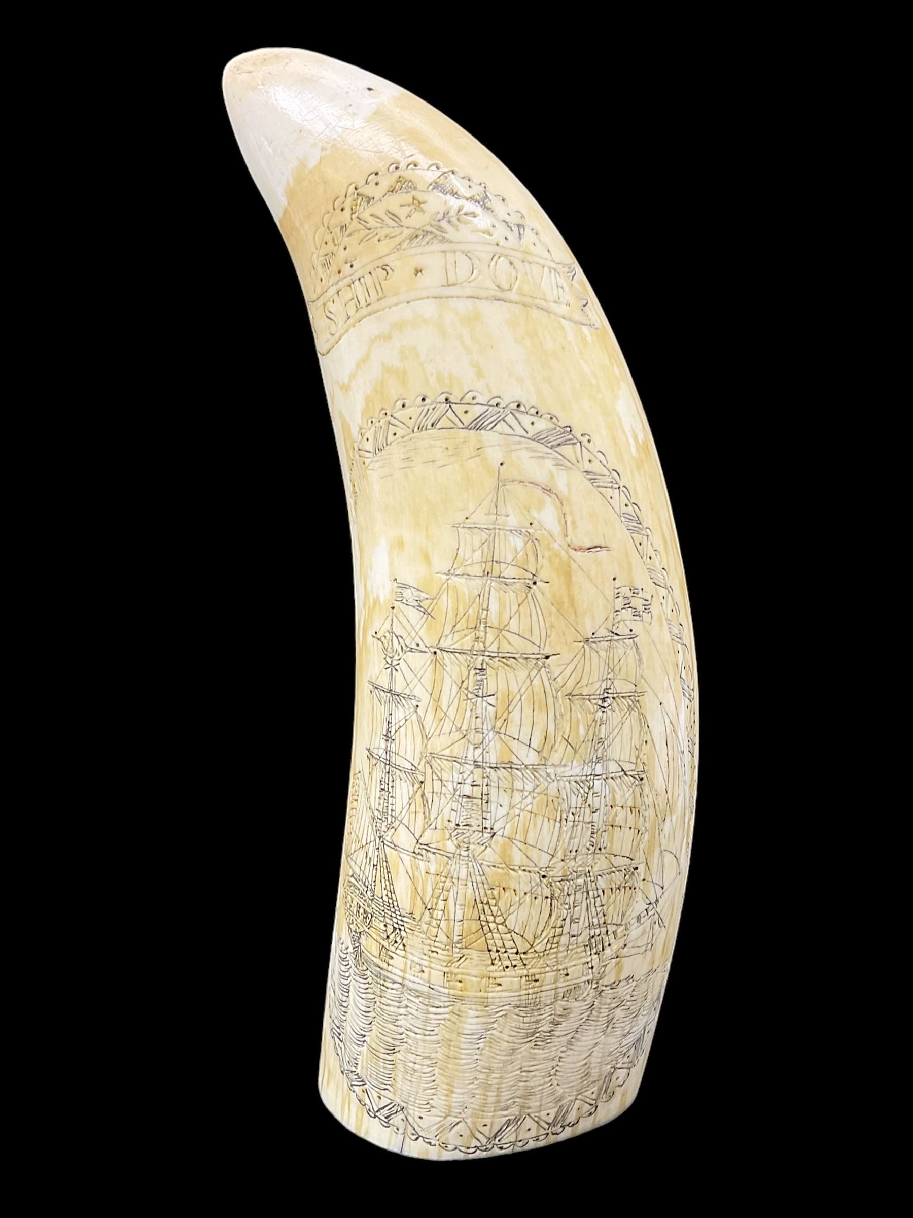 19th century scrimshaw sperm whale tooth from the whaler 'Dove' initialled J.A