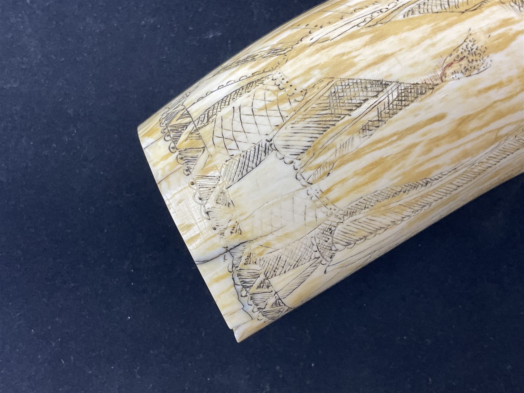 19th century scrimshaw sperm whale tooth from the whaler 'Dove' initialled J.A - Image 12 of 14