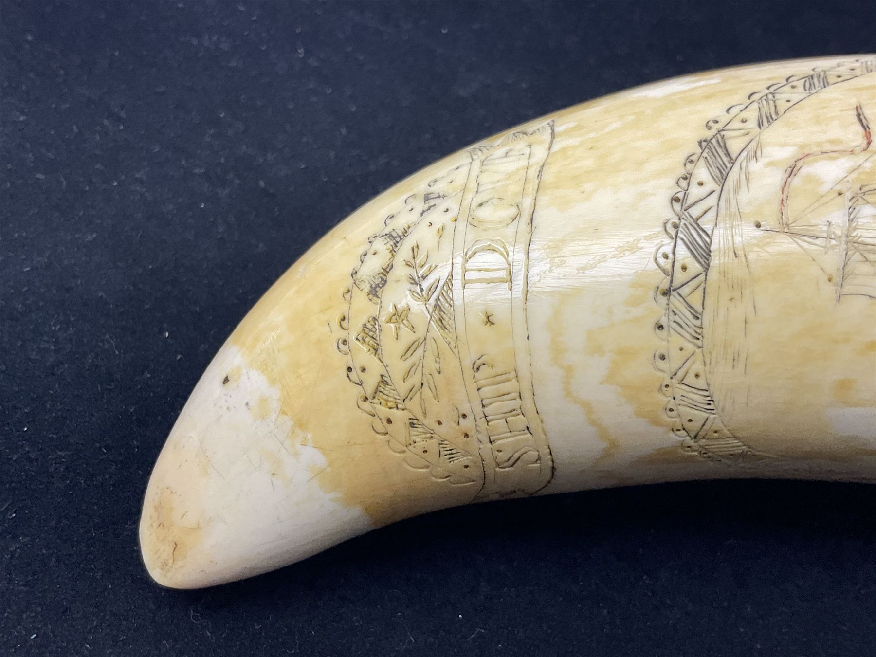 19th century scrimshaw sperm whale tooth from the whaler 'Dove' initialled J.A - Image 4 of 14