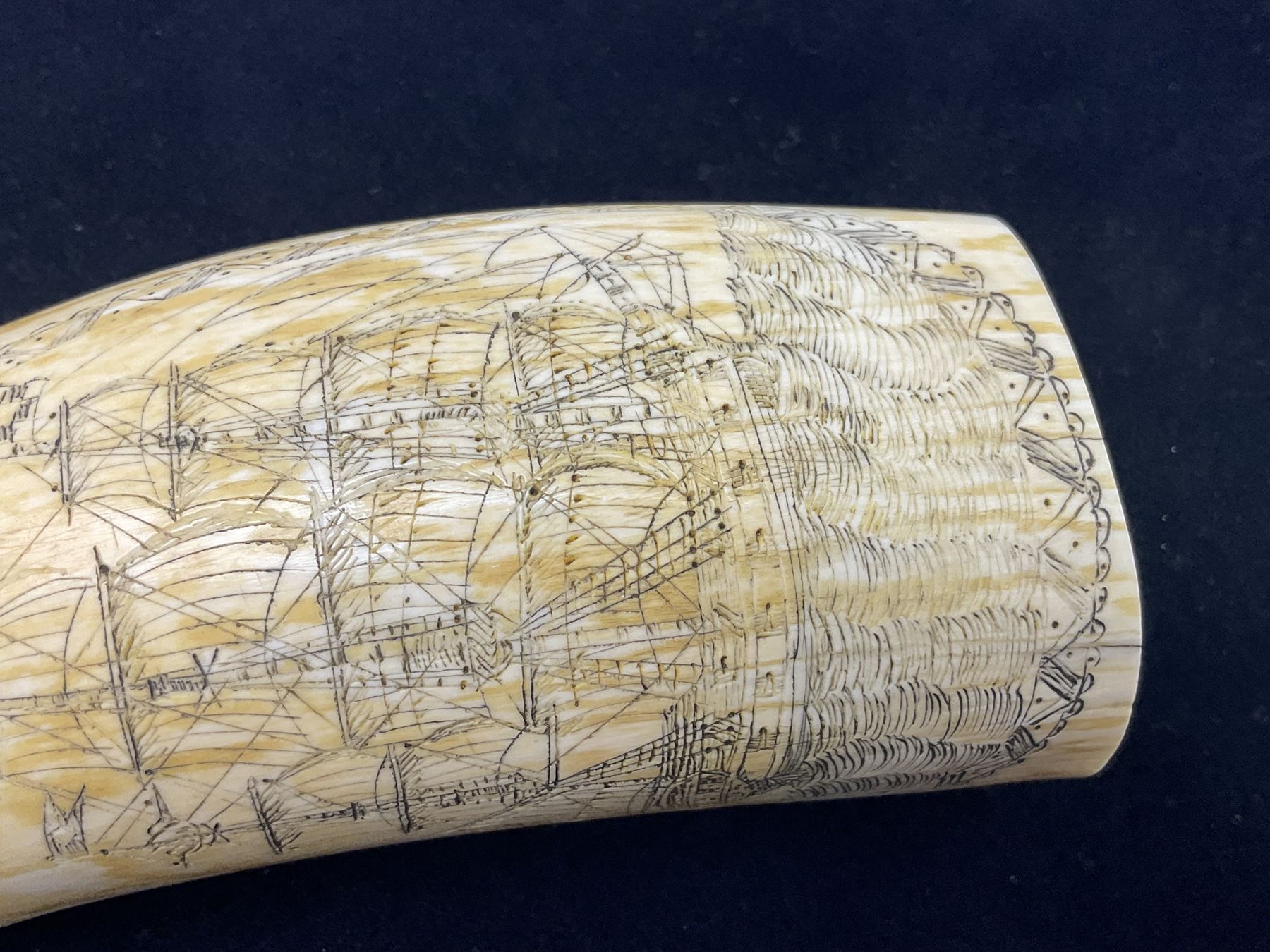 19th century scrimshaw sperm whale tooth from the whaler 'Dove' initialled J.A - Image 5 of 14