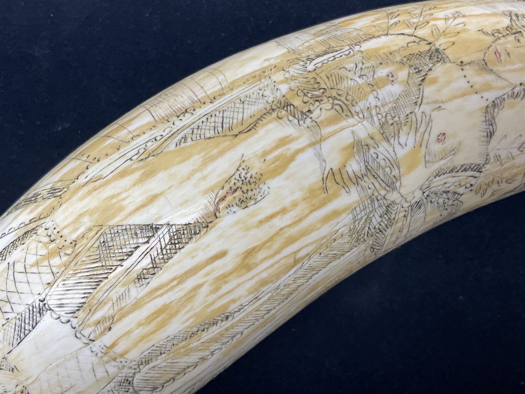 19th century scrimshaw sperm whale tooth from the whaler 'Dove' initialled J.A - Image 11 of 14