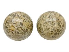 Pair of fossilised coral spheres