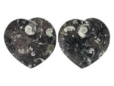 Pair of dishes in the form of hearts with a raised Goniatite to the centre and Orthoceras and Goniat