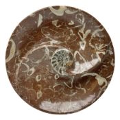 Large circular dish with a raised Goniatite to the centre and Orthoceras inclusion