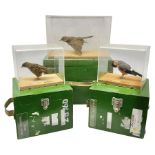 Taxidermy: Three british birds adult mounts