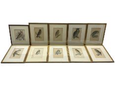 Set of nine ornithological prints and another similar