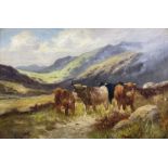 Charles W Oswald (British fl.1892-1900): Highland Cattle