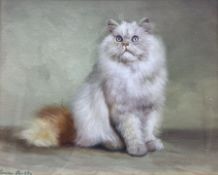 English School (19th/20th century): Study of a Persian Cat